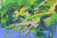 pic-05a